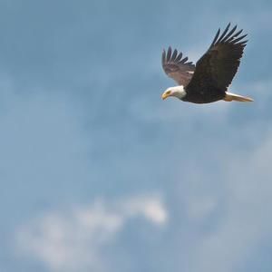 Meet your Posher, Keti